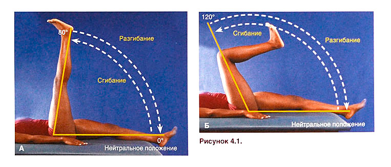 Файл:Ris 4 1.jpg