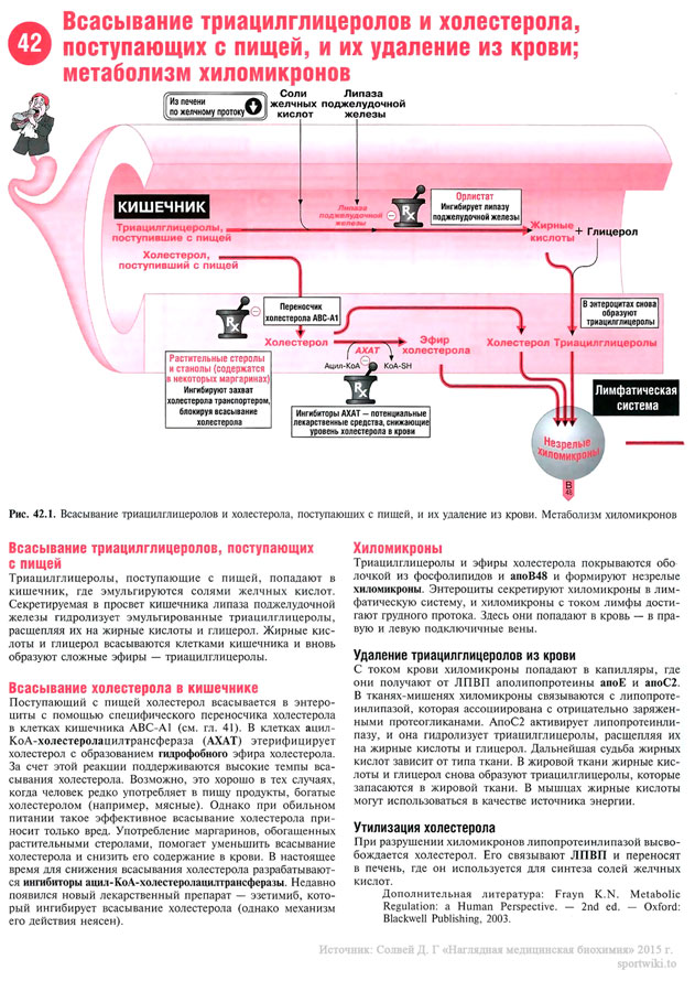 Файл:Scan94 1.jpg