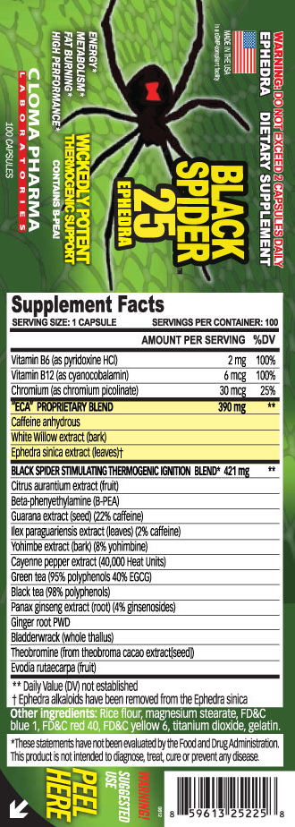 Файл:Bkack spider.jpg