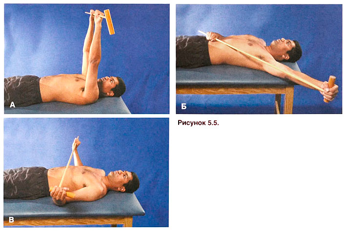 Файл:Ris 5 5.jpg