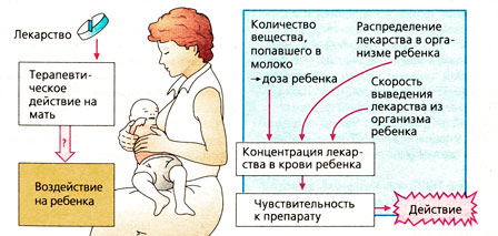 Б. Кормление: прием лекарств матерью