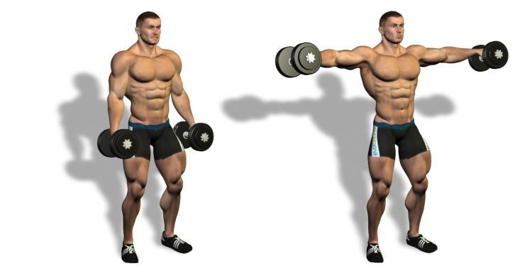 Файл:Shoulder 4.jpg