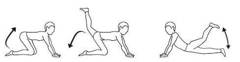 Рис. 9. Махи ногами назад в положении с опорой на колени и кисти или лежа в упоре на предплечьях