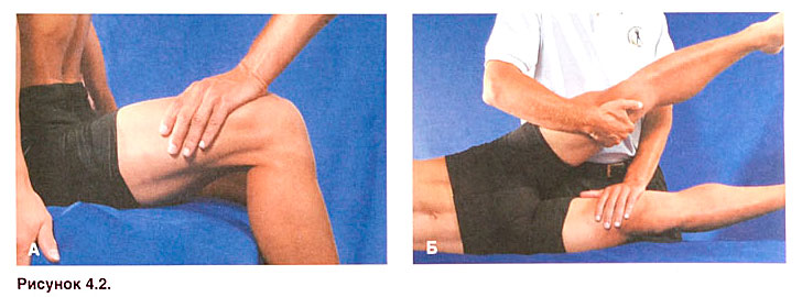 Файл:Ris 4 2.jpg