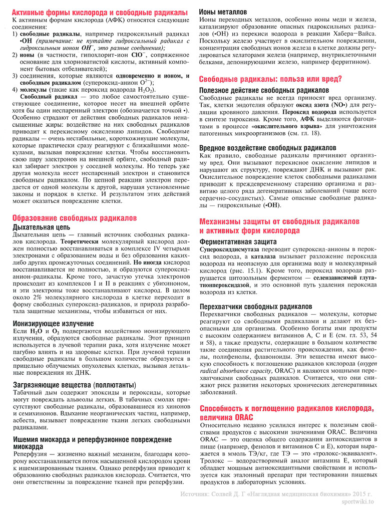 Файл:Scan41 1.jpg