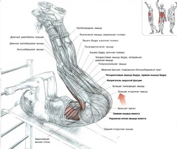 Файл:11 press.jpg