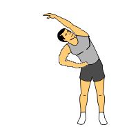 Standing-lateral-stretch.gif