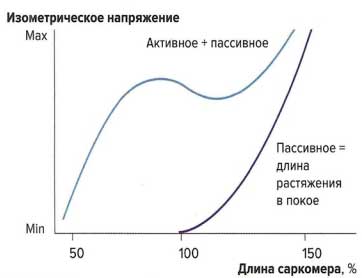 Файл:Mishci sport84.jpg