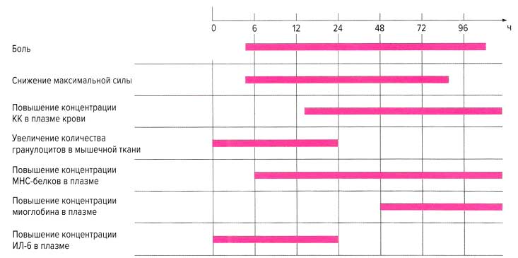 Файл:Mishci sport156.jpg