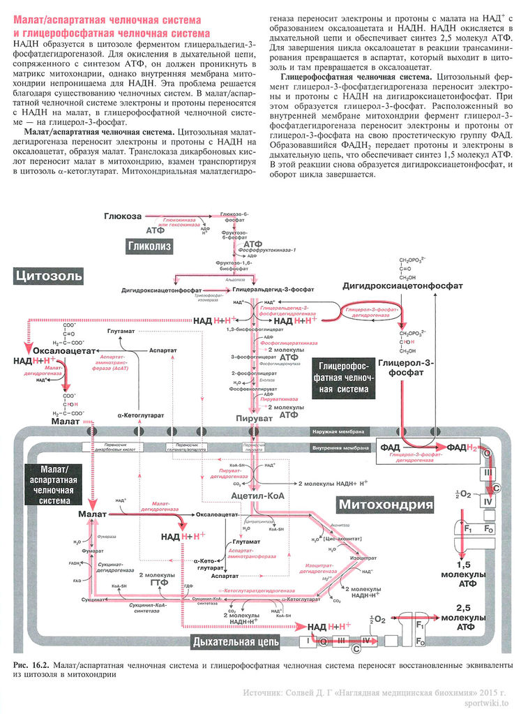 Файл:Scan43 1.jpg