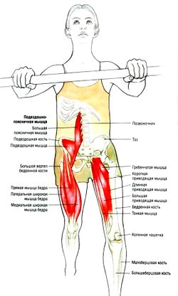 Растяжка подвздошно-поясничной мышцы — SportWiki энциклопедия
