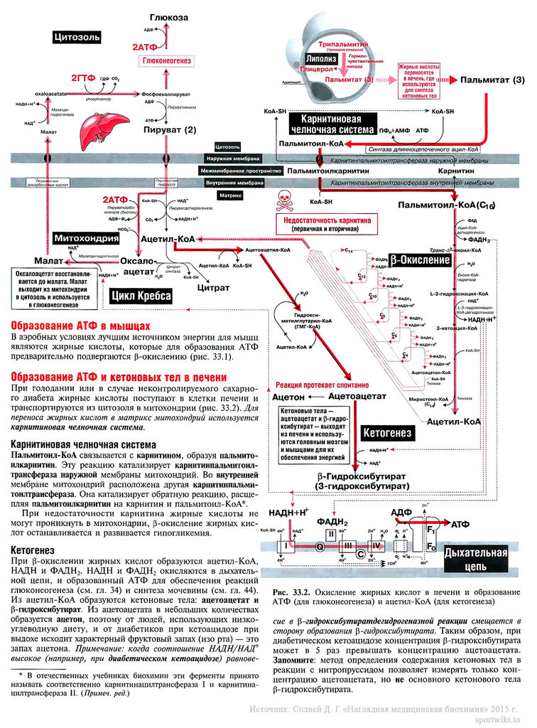 Файл:Scan77 1.jpg