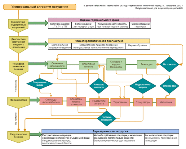 Алгоритм похудения и лечения ожирения