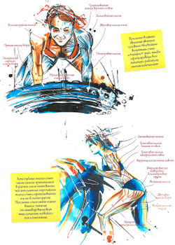 Работающие мышцы при выполнении упражнения с покрышкой - кантования покрышки