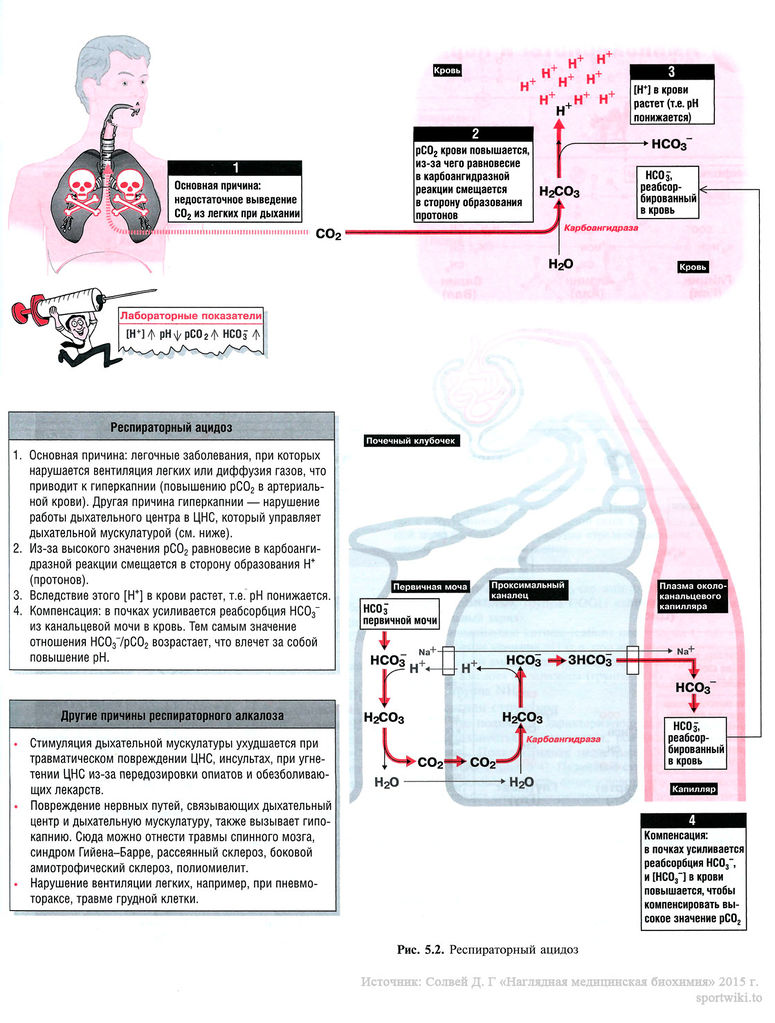 Файл:Scan 21 1.jpg