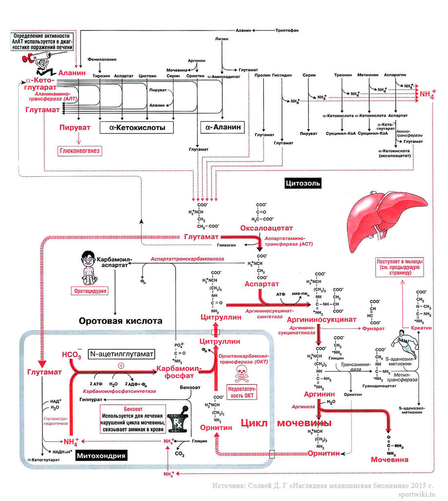 Файл:Scan99 1.jpg