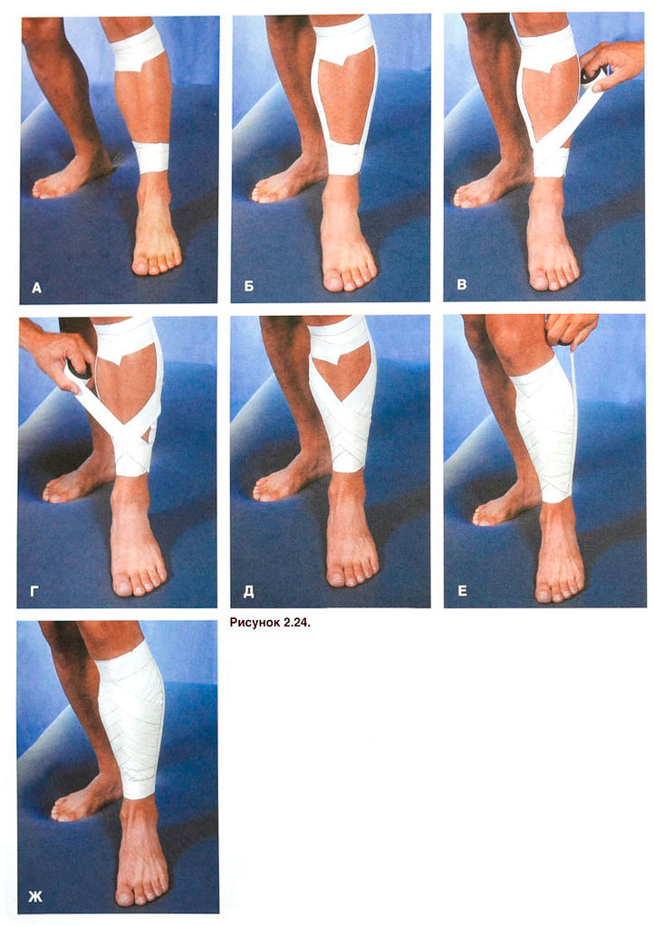 Файл:Ris 2 24jpg.jpg