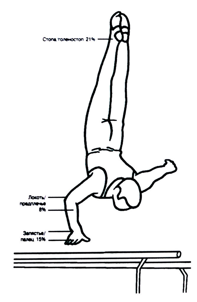 Файл:Travma gym.jpg