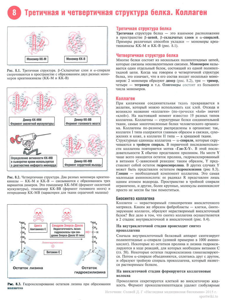 Файл:Scan 26 1.jpg