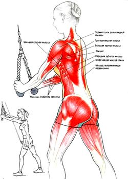 Блок для мышц спины (верхняя тяга) К-057