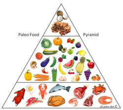 Dieta paleolitica sau, pe scurt: dieta Paleo – metoda de slabit rapida?