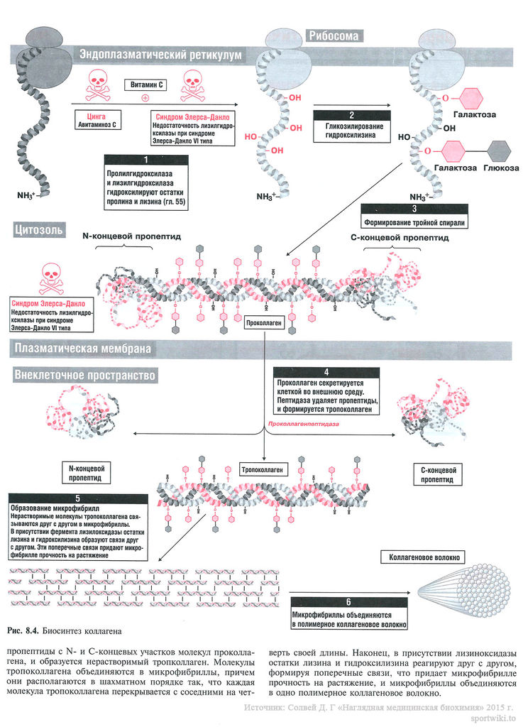 Файл:Scan 27 1.jpg