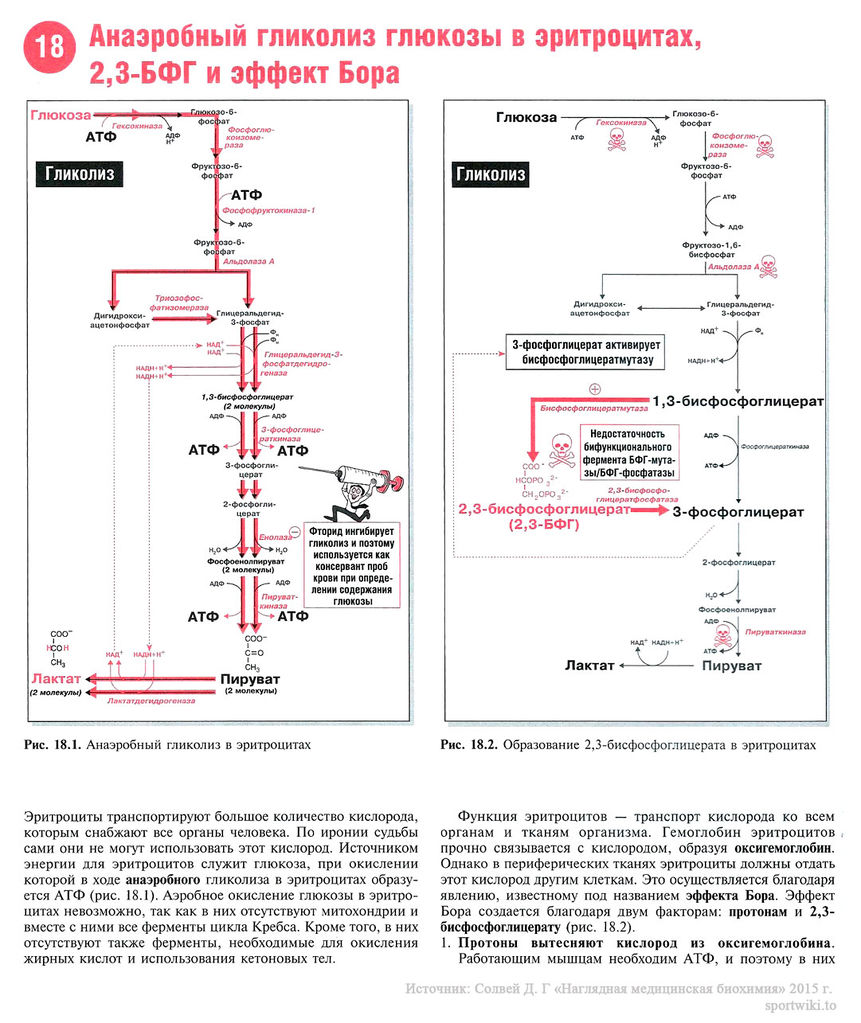 Файл:Scan46 1.jpg