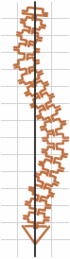 Шейно-грудной сколиоз (вершина искривления на уровне Th3 - Th4)