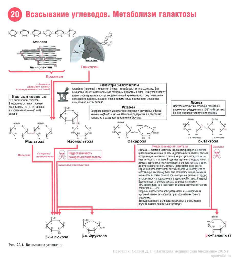 Файл:Scan50 1.jpg