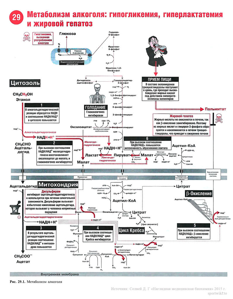 Файл:Scan68 1.jpg