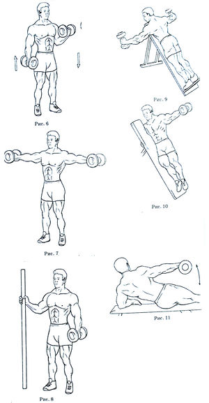 Упражнения на верхний плечевой пояс