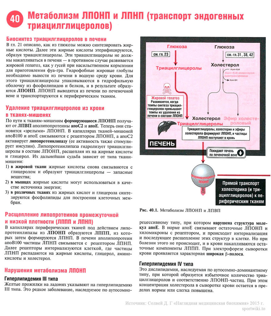 Файл:Scan90 1.jpg